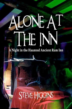 Alone At The Inn|Steve Higgins