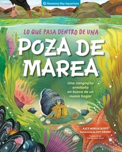 Lo Que Pasa Dentro de Una Poza de Marea|Monterey Bay Aquarium