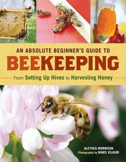 An Absolute Beginner's Guide to Beekeeping|Alethea Morrison