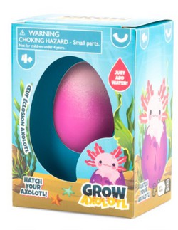 Grow Your Own Axolotl Toy|Keycraft Global
