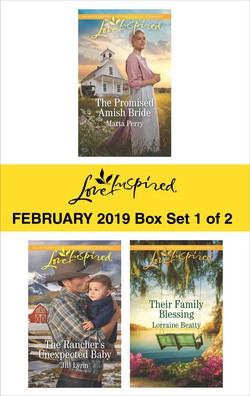 Harlequin Love Inspired February 2019 - Box Set 1 of 2|Marta Perry