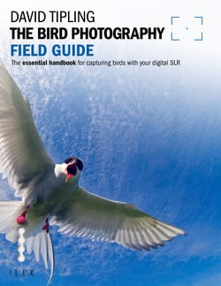 The Bird Photography Field Guide|David Tipling