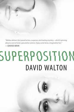 Superposition|David Walton