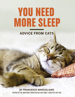 You Need More Sleep|Francesco Marciuliano