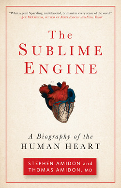 The Sublime Engine|Stephen Amidon
