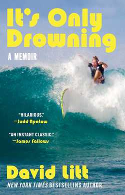 It's Only Drowning|David Litt