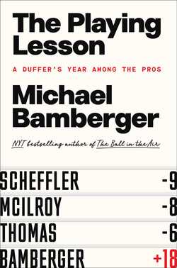 The Playing Lesson|Michael Bamberger
